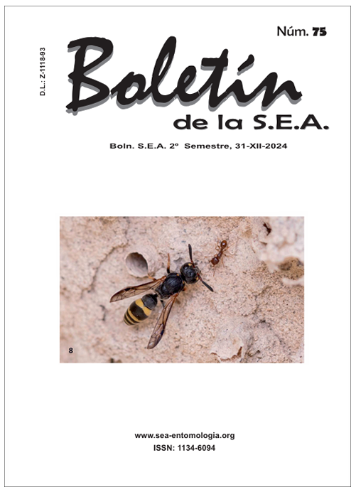 Boletín 75